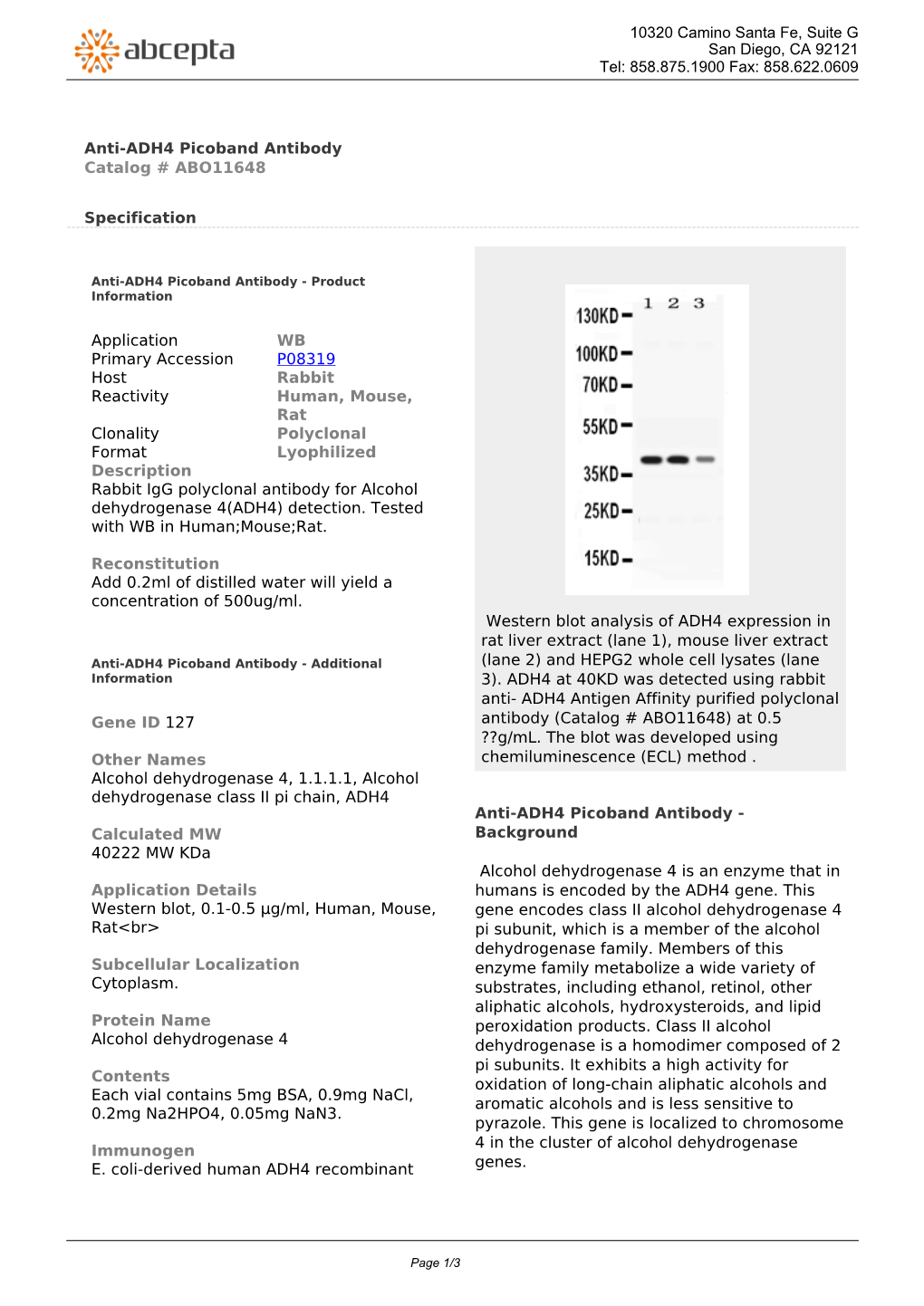 Anti-ADH4 Picoband Antibody Catalog # ABO11648