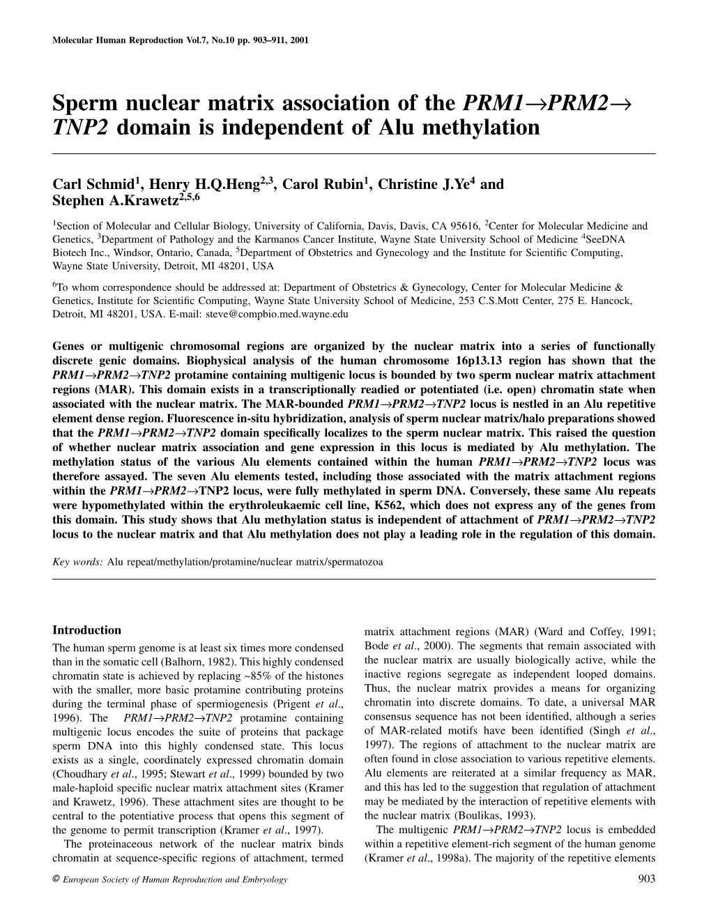 Sperm Nuclear Matrix Association of the PRM1→PRM2→ TNP2 Domain Is Independent of Alu Methylation