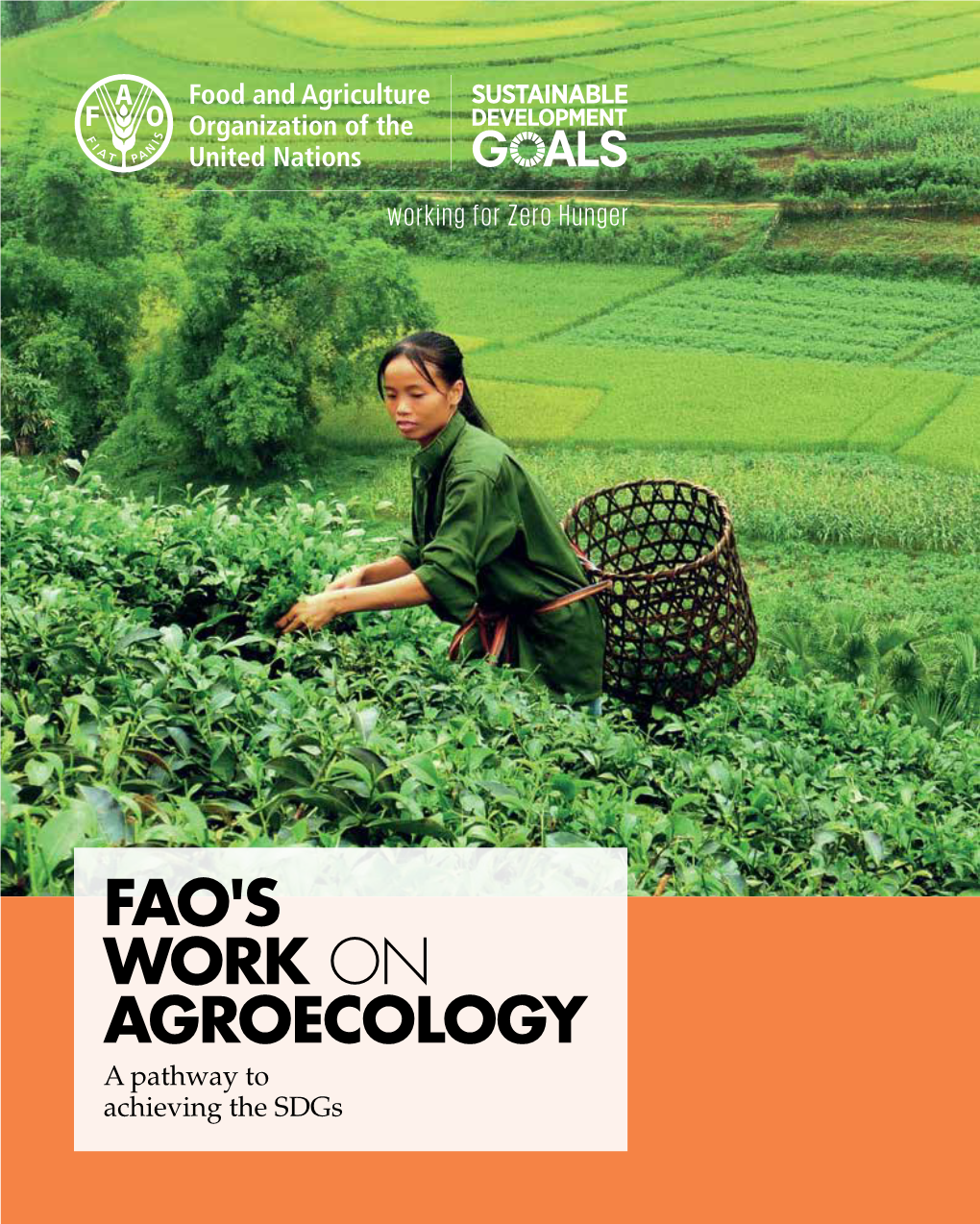 FAO's WORK on AGROECOLOGY a Pathway to Achieving the Sdgs FAO's WORK on AGROECOLOGY