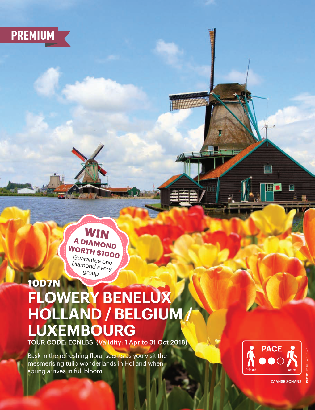 FLOWERY BENELUX HOLLAND / BELGIUM / LUXEMBOURG TOUR CODE: ECNLBS (Validity: 1 Apr to 31 Oct 2018)