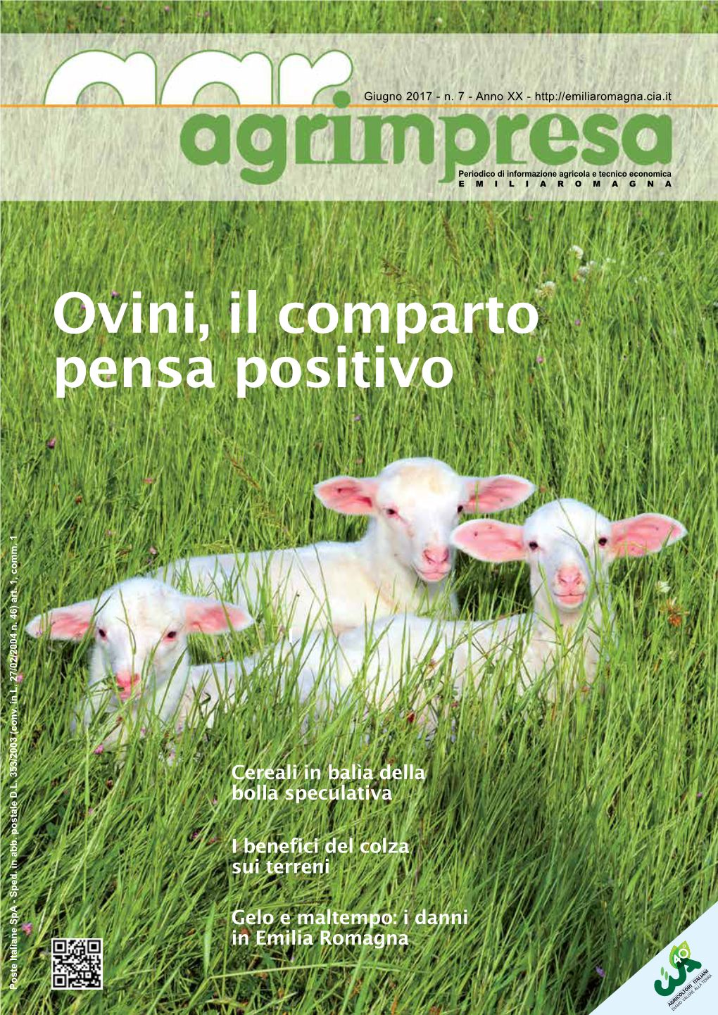 Ovini, Il Comparto Pensa Positivo