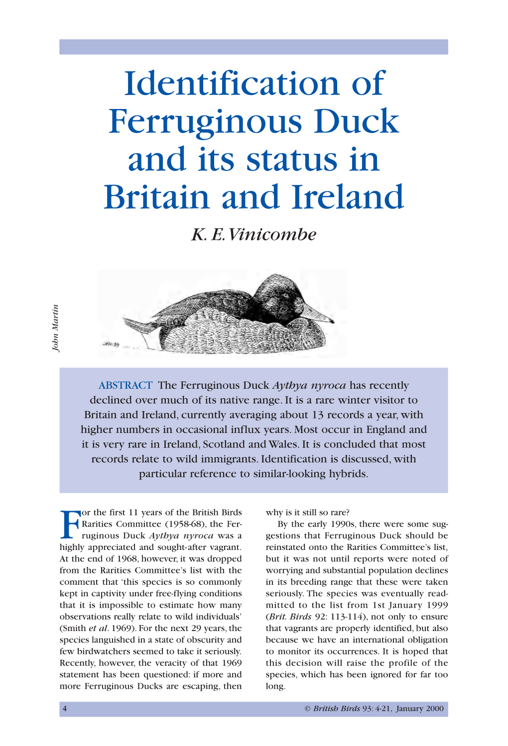 Identification of Ferruginous Duck and Its Status in Britain and Ireland K