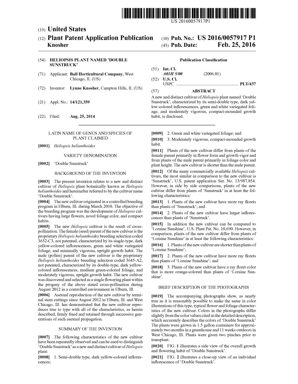 (12) Plant Patent Application Publication (10) Pub