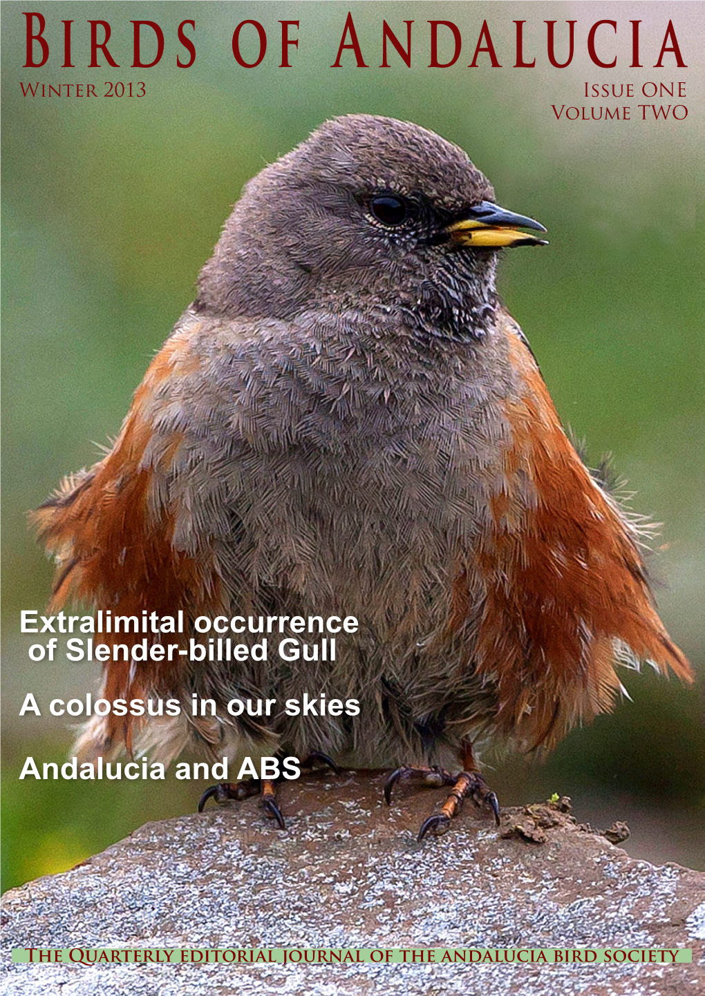 Birds of Andalucia Winter 2013 Issue ONE Volume TWO