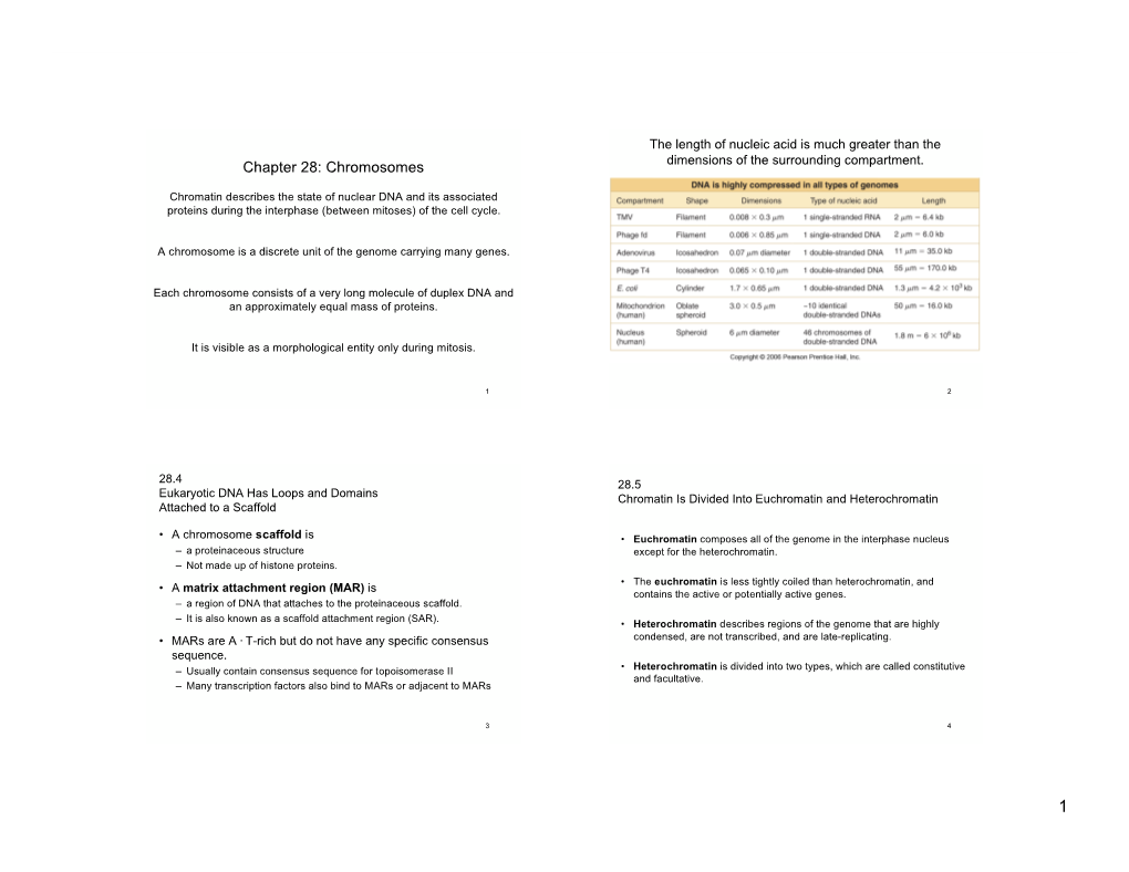 Chromosomes Dimensions of the Surrounding Compartment