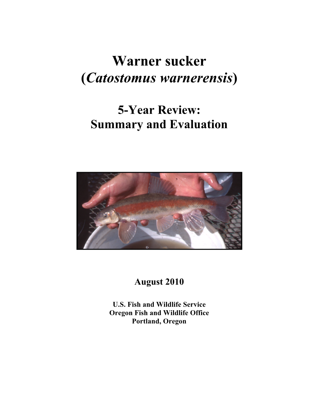 Warner Sucker (Catostomus Warnerensis)