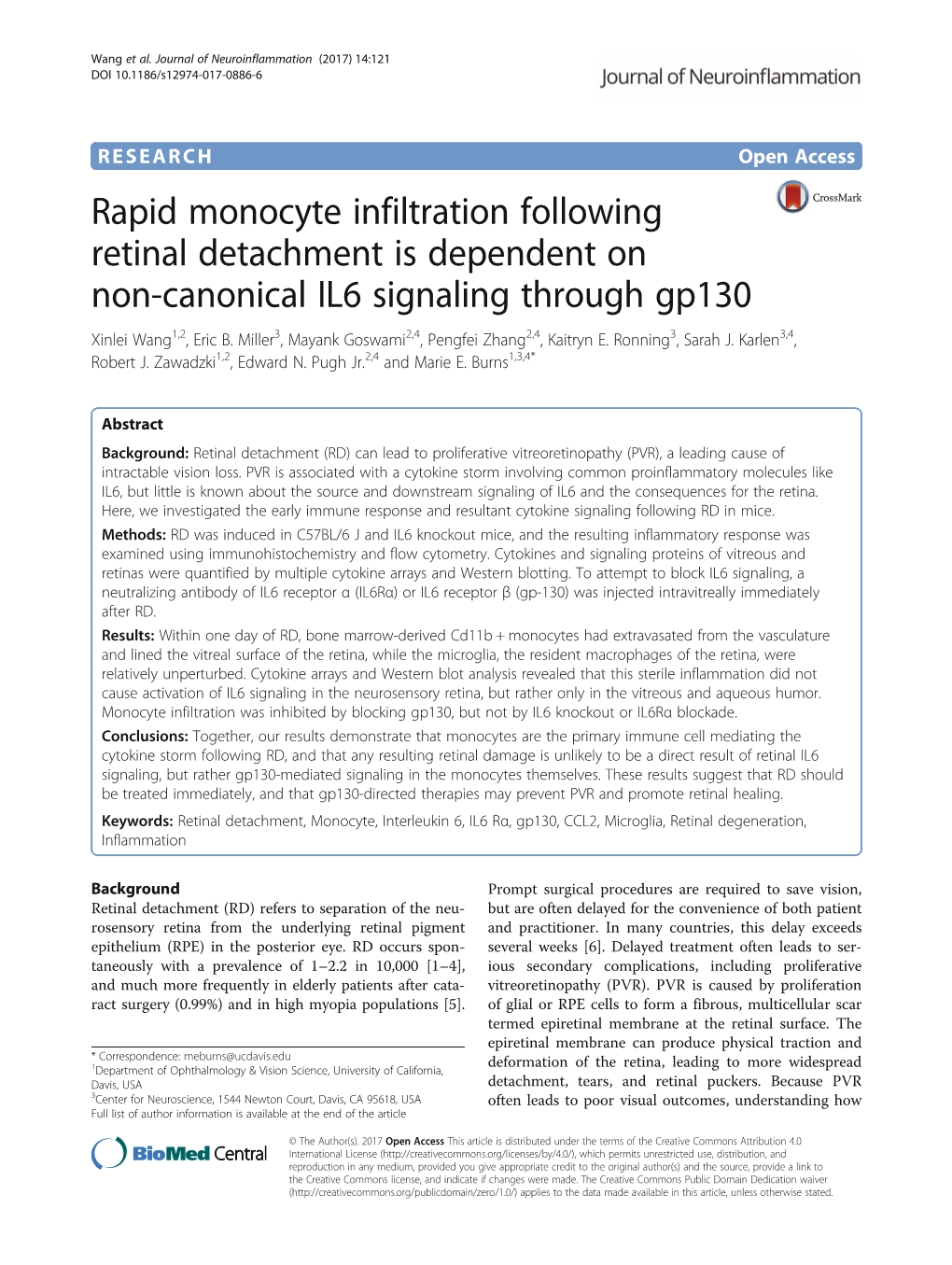 Rapid Monocyte Infiltration Following Retinal Detachment Is Dependent on Non-Canonical IL6 Signaling Through Gp130 Xinlei Wang1,2, Eric B