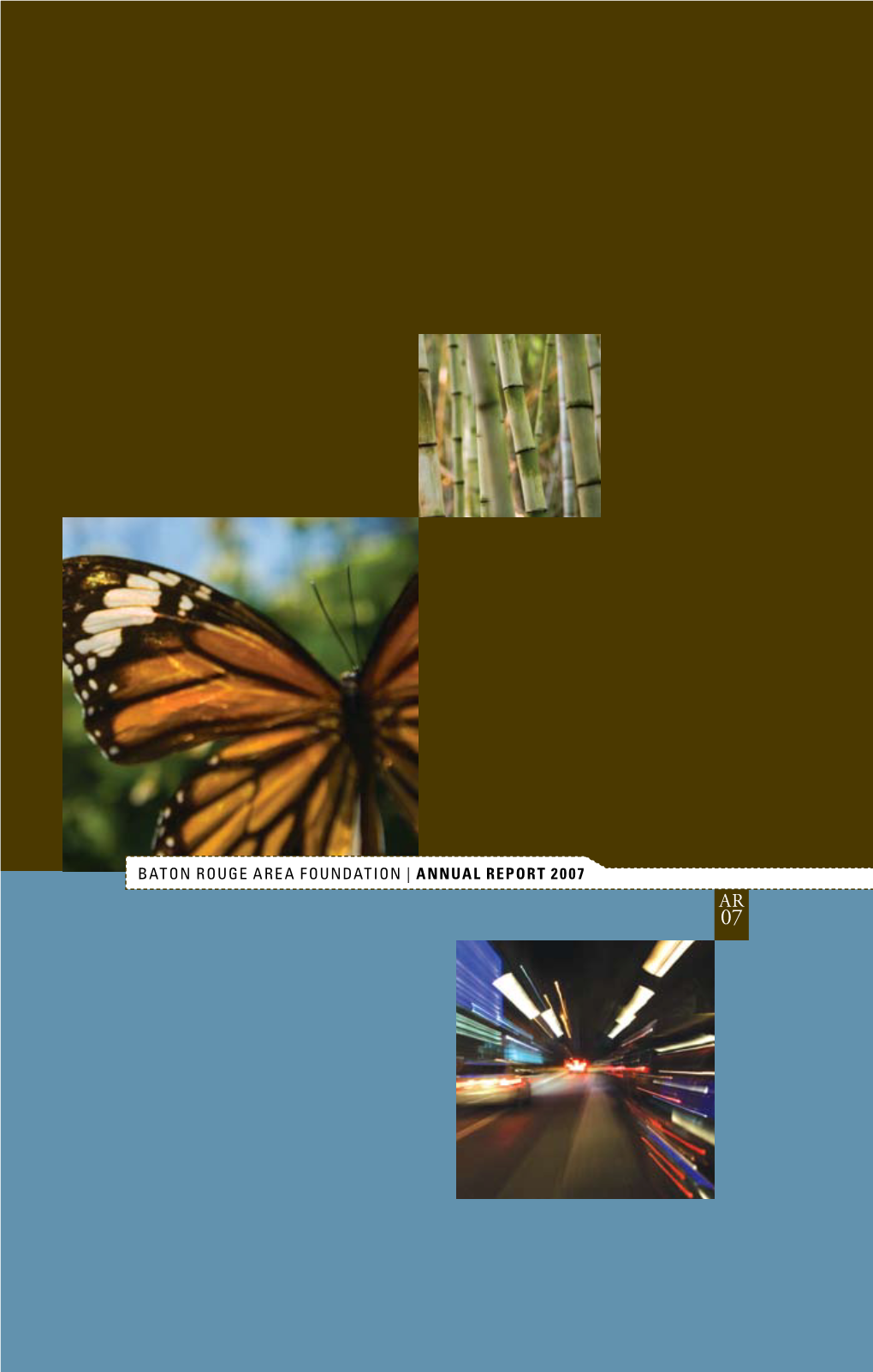 2007 Annual Report