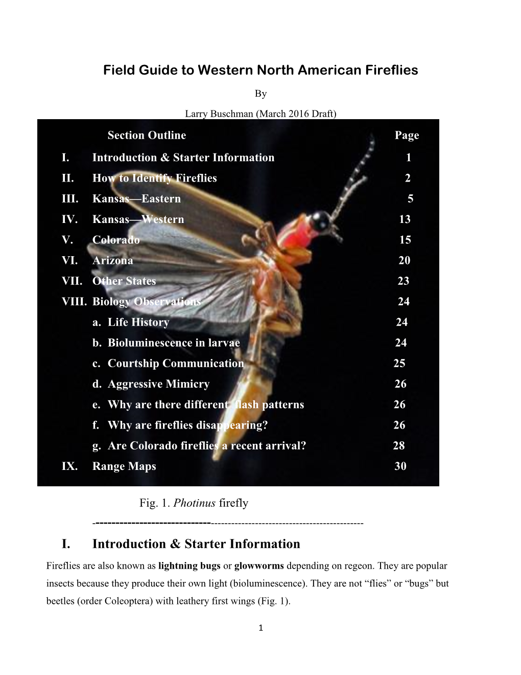 Field Guide to Western North American Fireflies