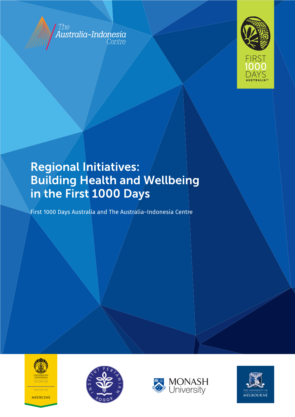 Regional Initiatives: Building Health and Wellbeing in the First 1000 Days