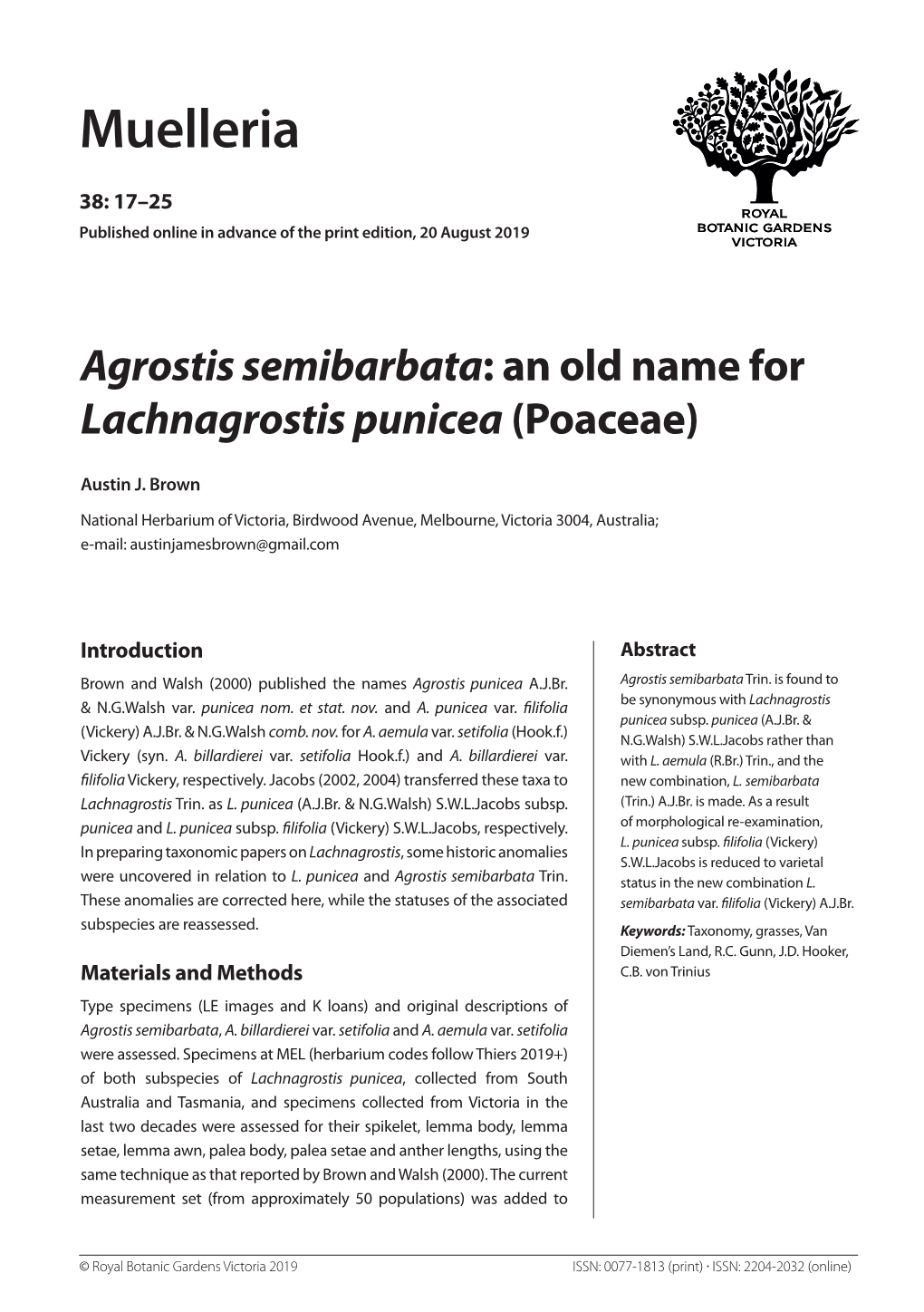 Agrostis Semibarbata: an Old Name for Lachnagrostis Punicea (Poaceae)