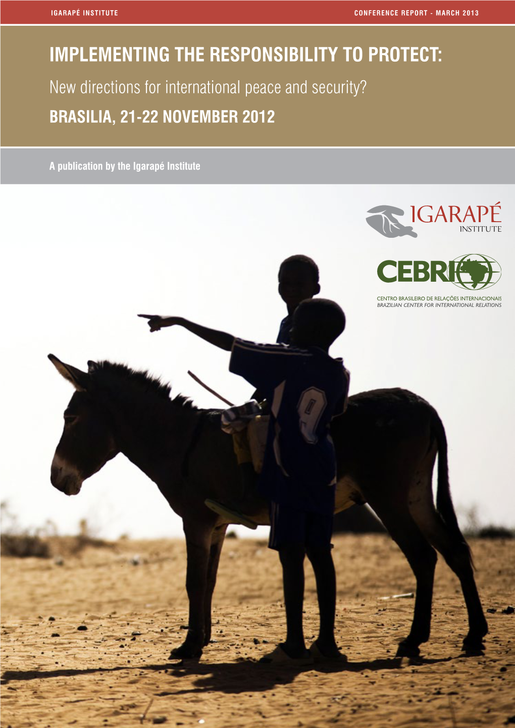 IMPLEMENTING the RESPONSIBILITY to PROTECT: New Directions for International Peace and Security? BRASILIA, 21-22 NOVEMBER 2012