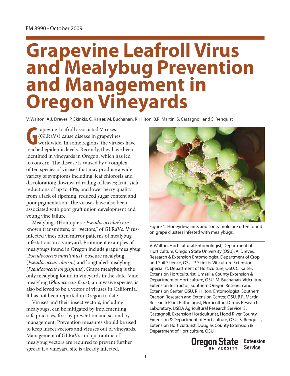 Grapevine Leafroll Virus and Mealybug Prevention and Management in Oregon Vineyards V