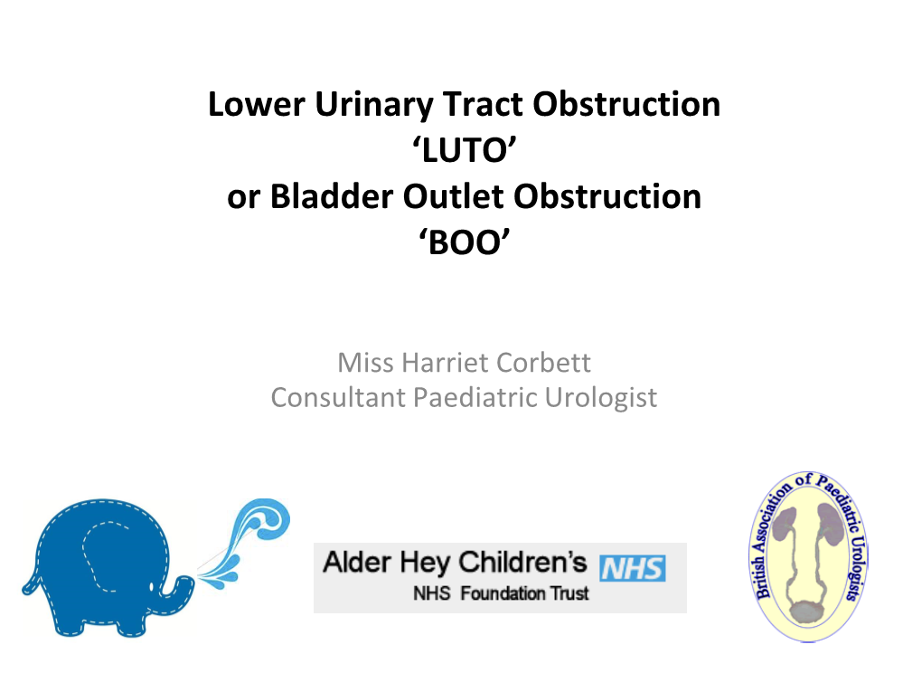 Lower Urinary Tract Obstruction 'LUTO'