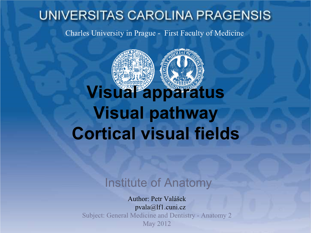 Visual Apparatus Visual Pathway Cortical Visual Fields