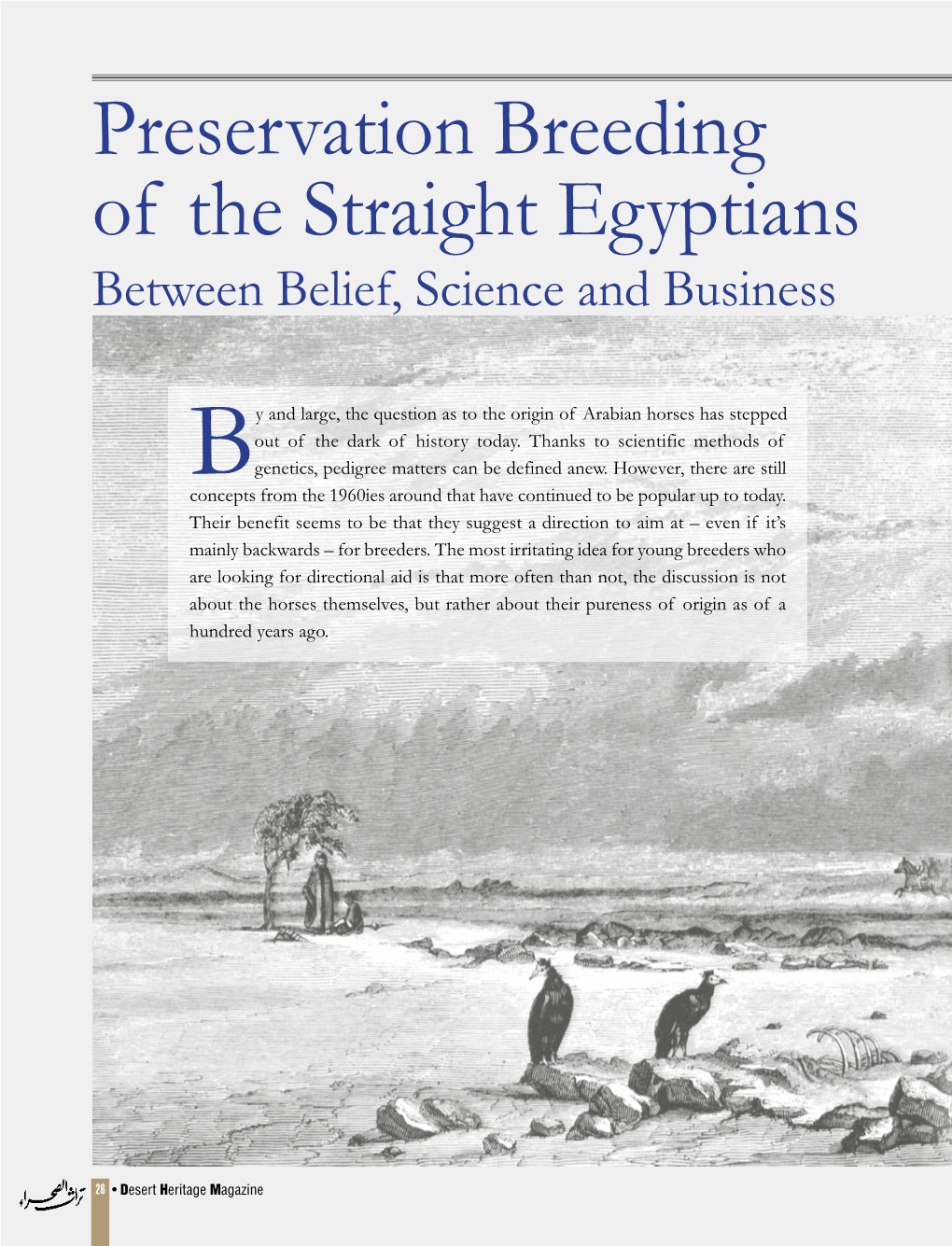 Preservation Breeding of the Straight Egyptians