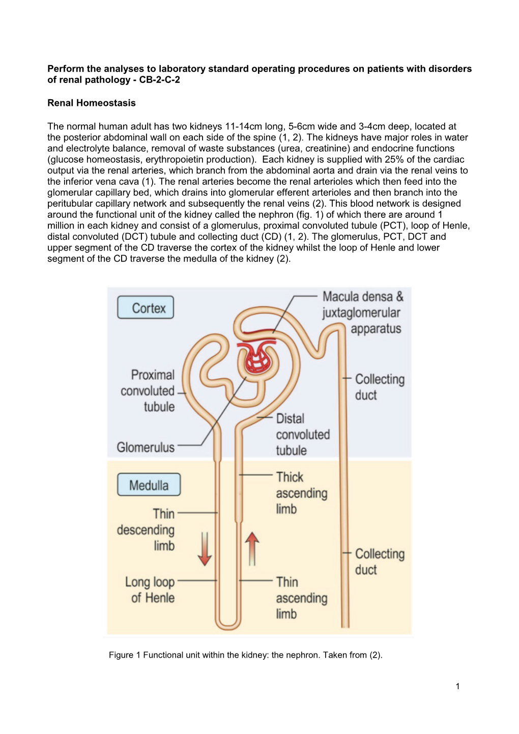 Perform Analyses to Lab Standard Procedures for Renal Pathology