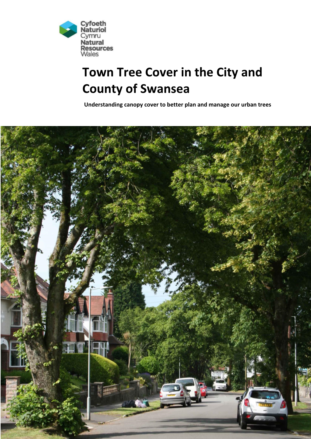 Swansea Understanding Canopy Cover to Better Plan and Manage Our Urban Trees