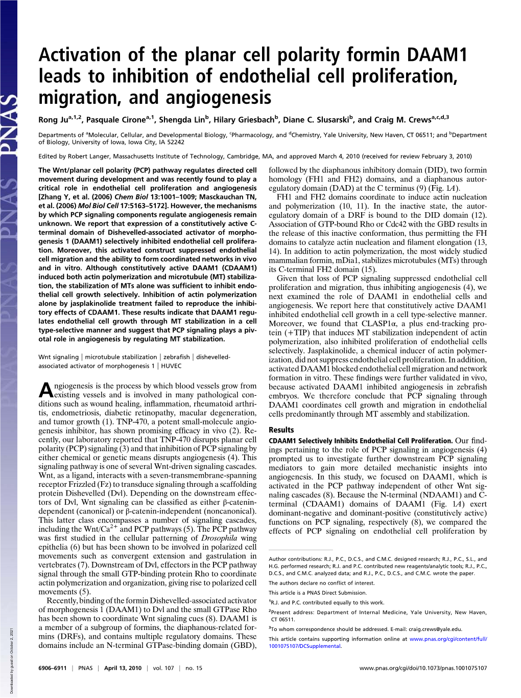 Activation of the Planar Cell Polarity Formin DAAM1 Leads to Inhibition of Endothelial Cell Proliferation, Migration, and Angiogenesis