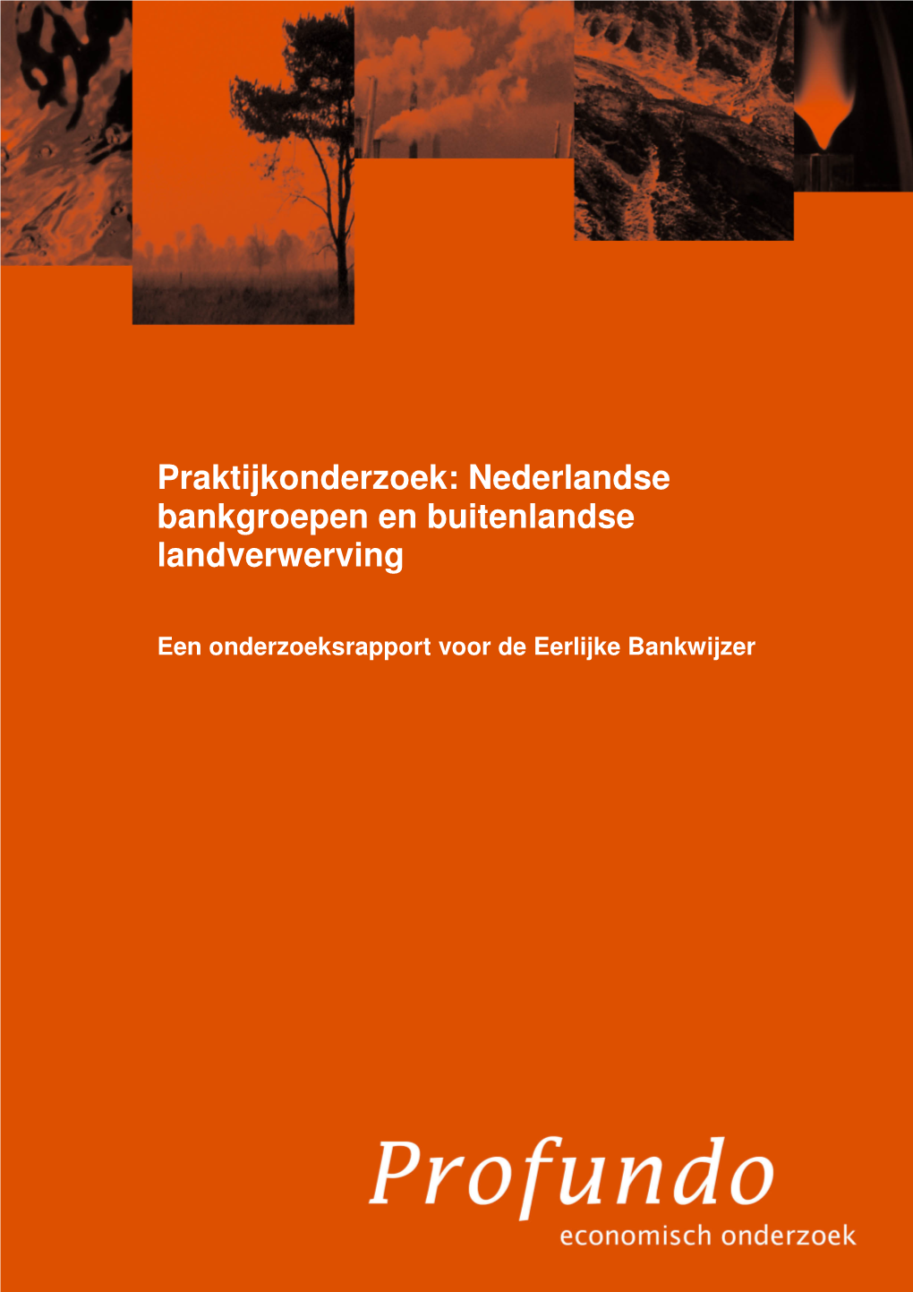 Nederlandse Bankgroepen En Buitenlandse Landverwerving