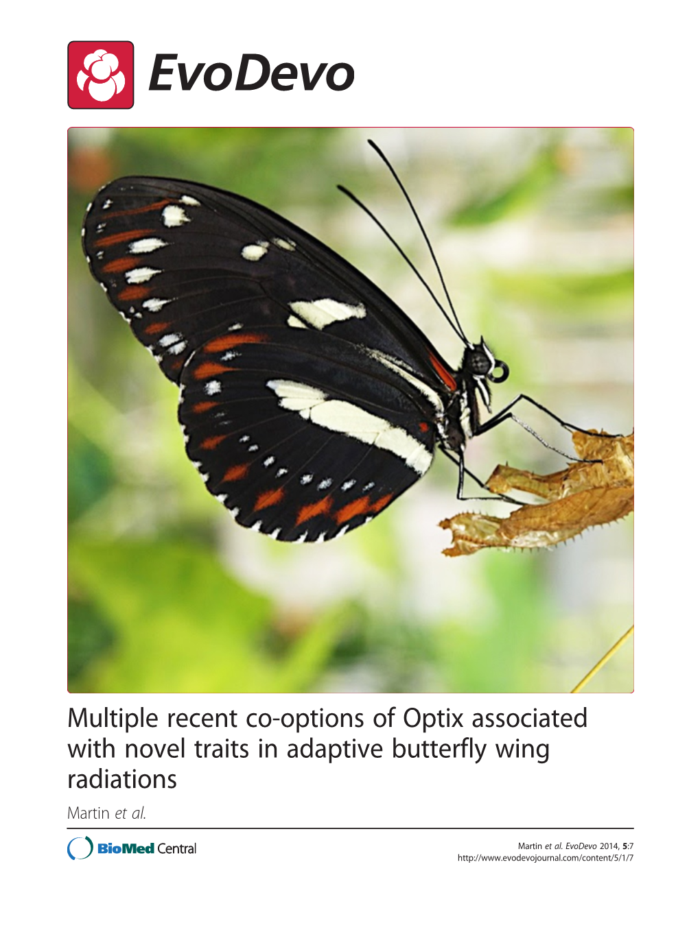 Multiple Recent Co-Options of Optix Associated with Novel Traits in Adaptive Butterfly Wing Radiations Martin Et Al