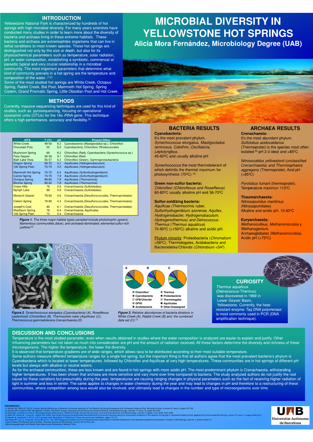 Microbial Diversity in Yellowstone Hot Springs