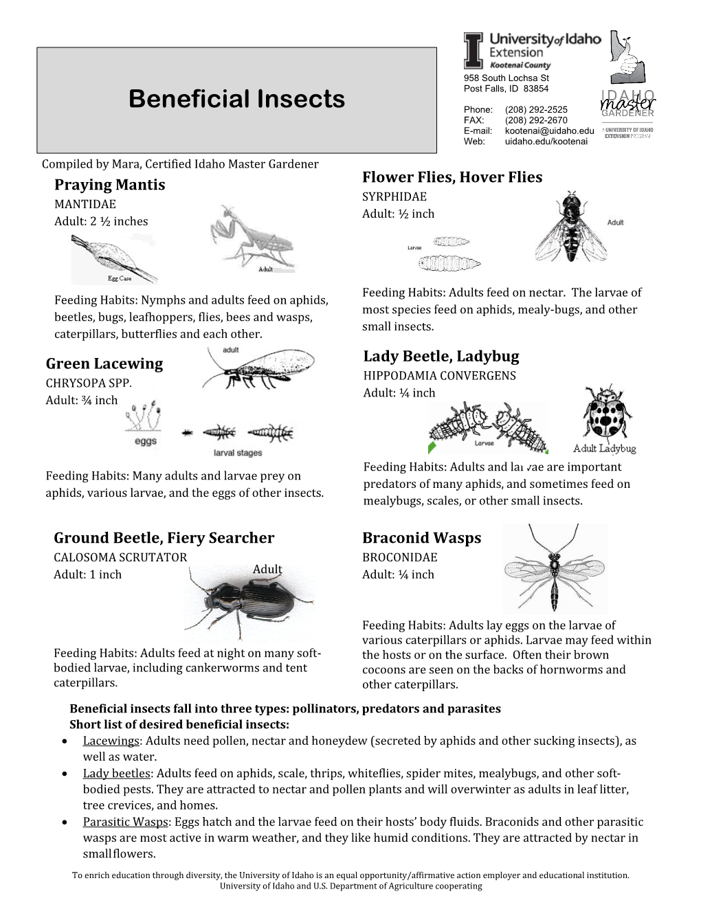 Beneficial Insects (PDF)