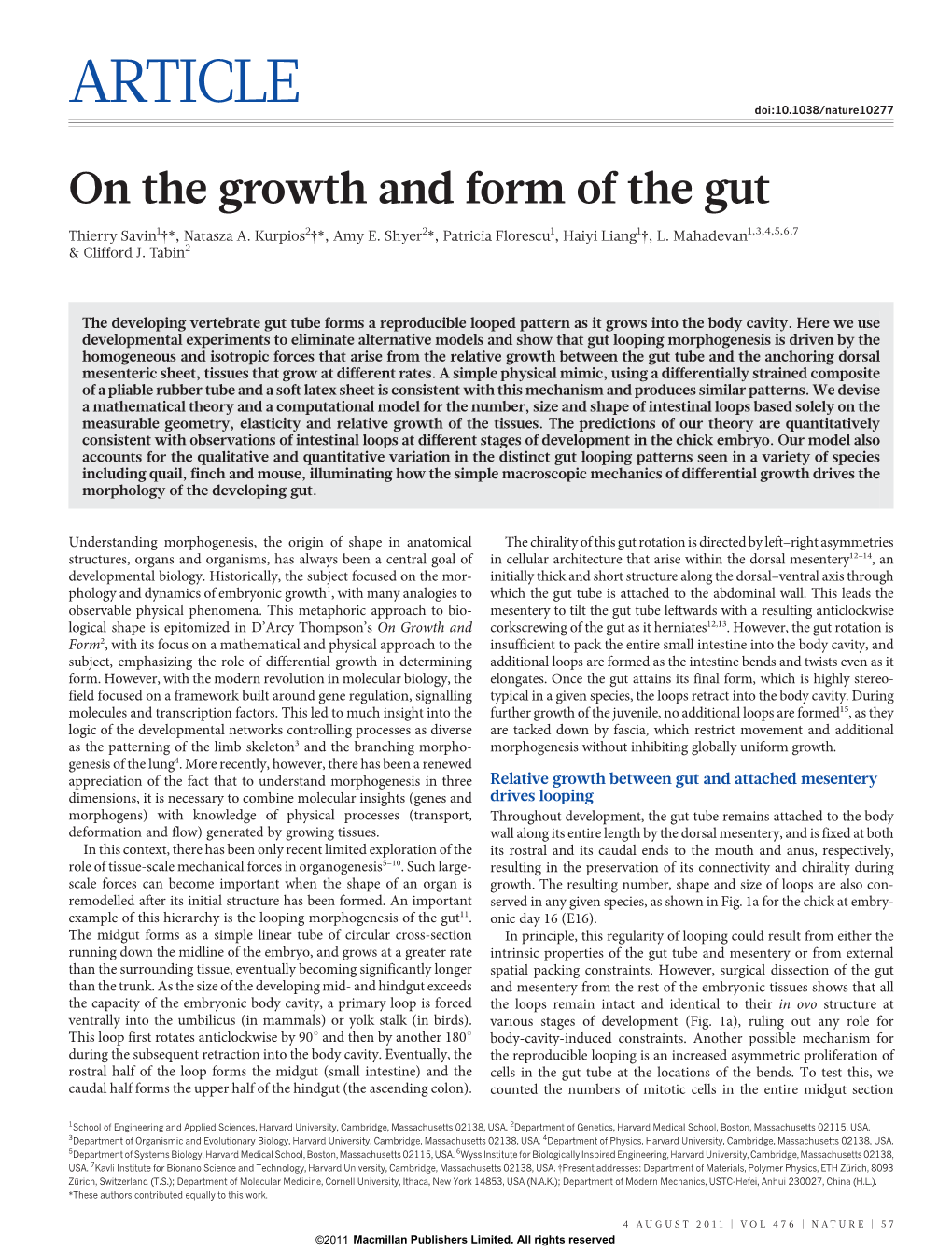 On the Growth and Form of the Gut