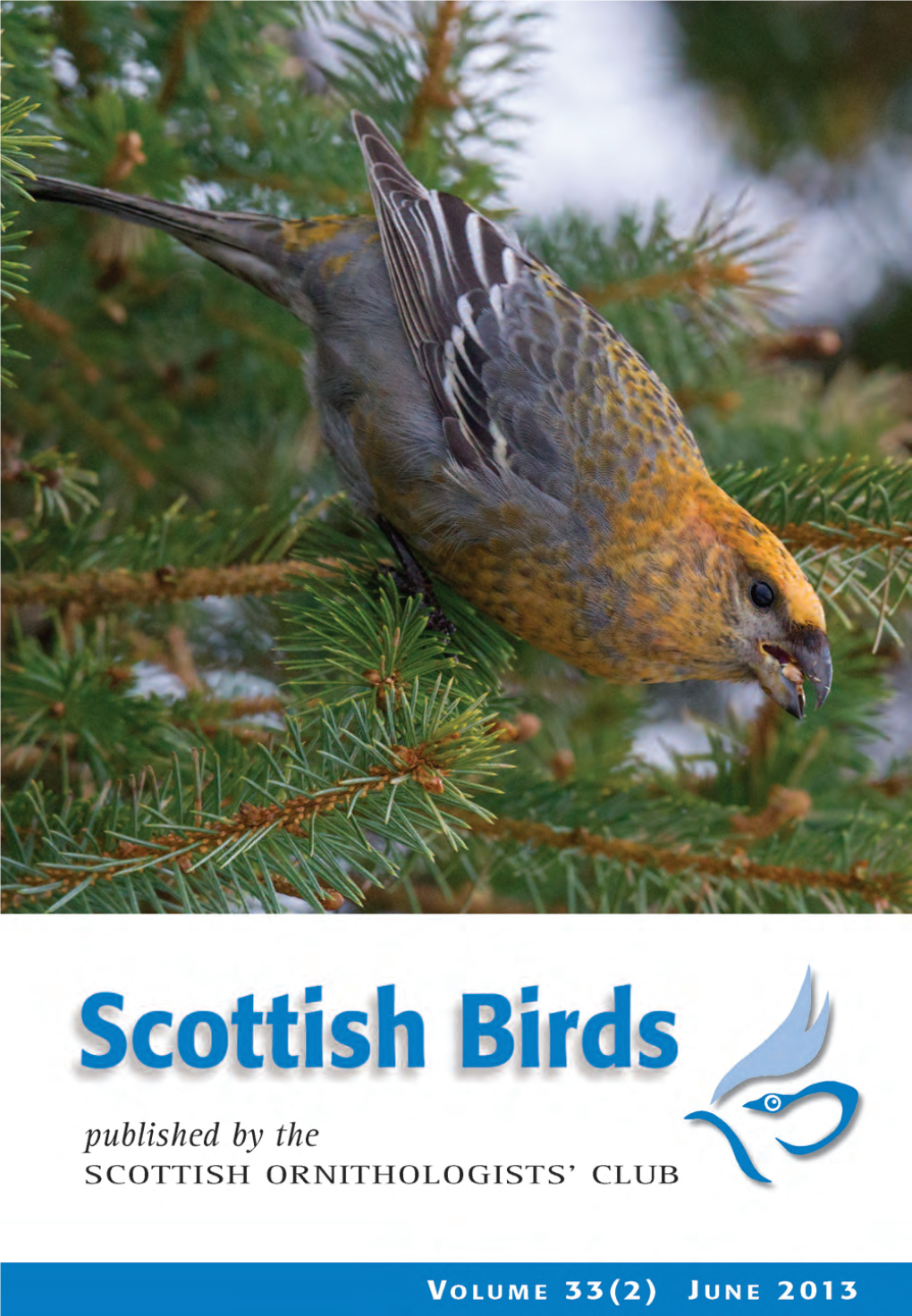 Scottish Birds 33:2 (2013)