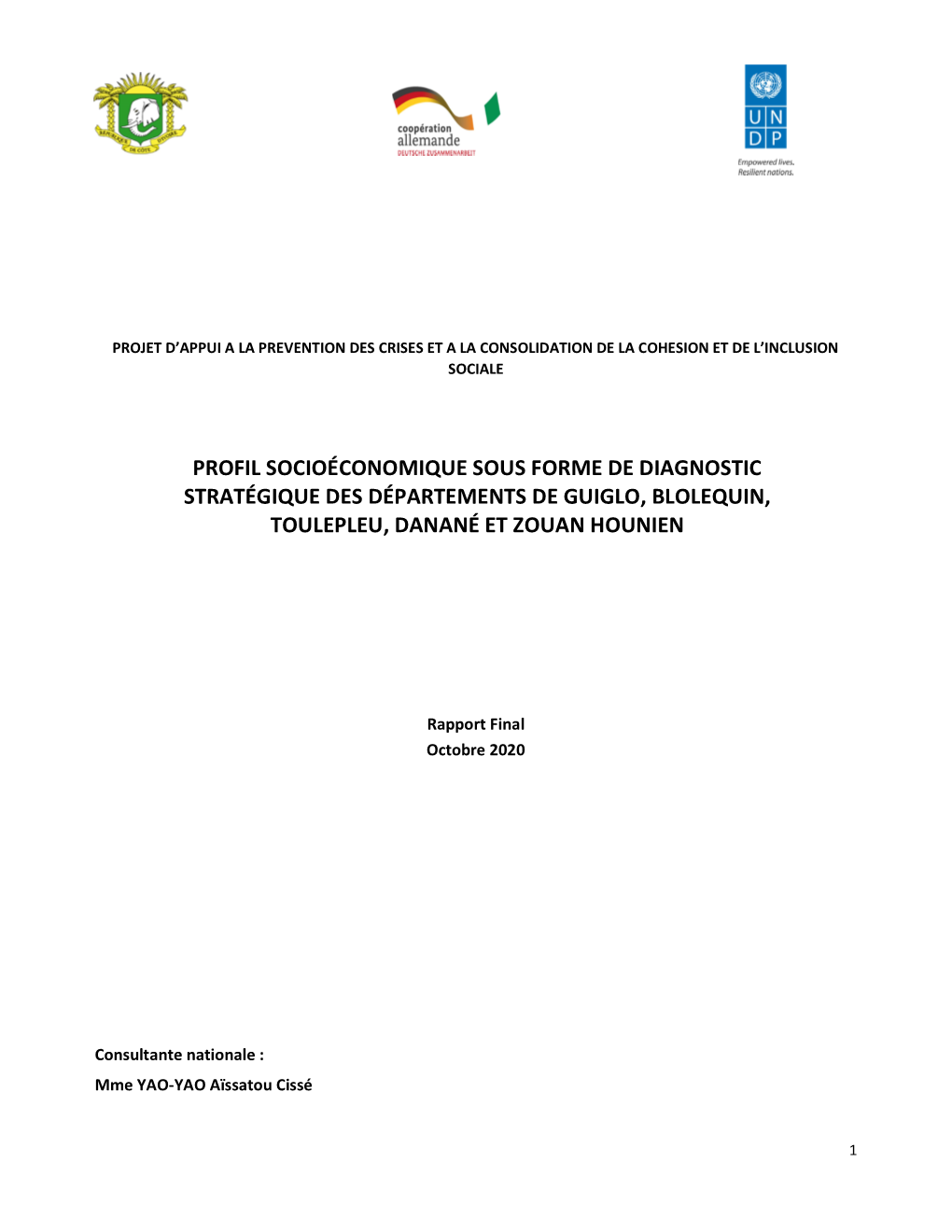 Profil Socioéconomique Sous Forme De Diagnostic Stratégique Des Départements De Guiglo, Blolequin, Toulepleu, Danané Et Zouan Hounien