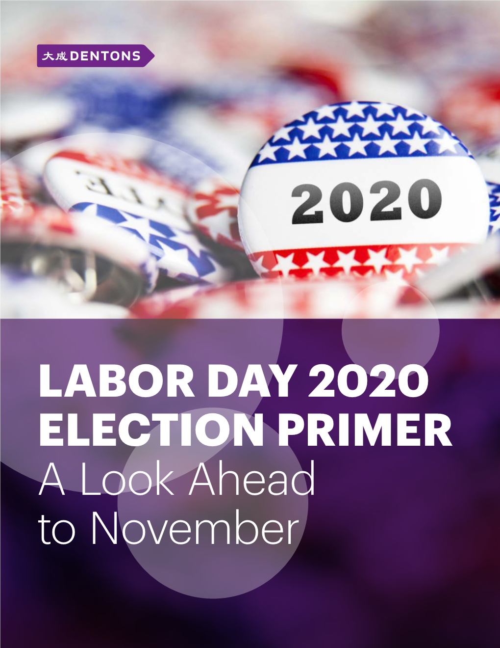 LABOR DAY 2020 ELECTION PRIMER a Look Ahead to November