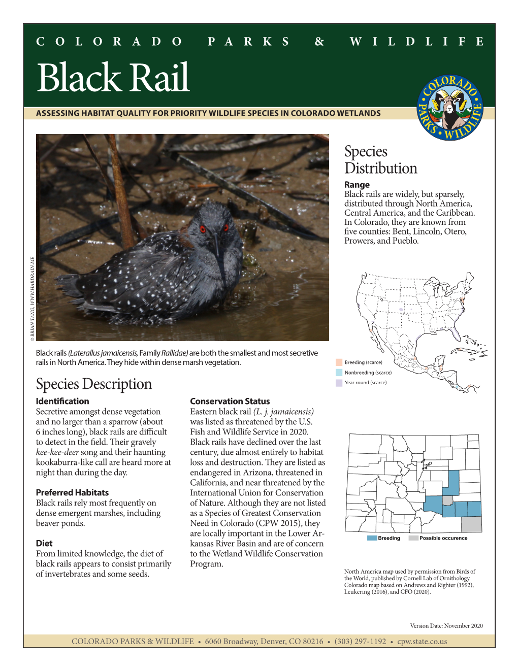 Black Rail ASSESSING HABITAT QUALITY for PRIORITY WILDLIFE SPECIES in COLORADO WETLANDS