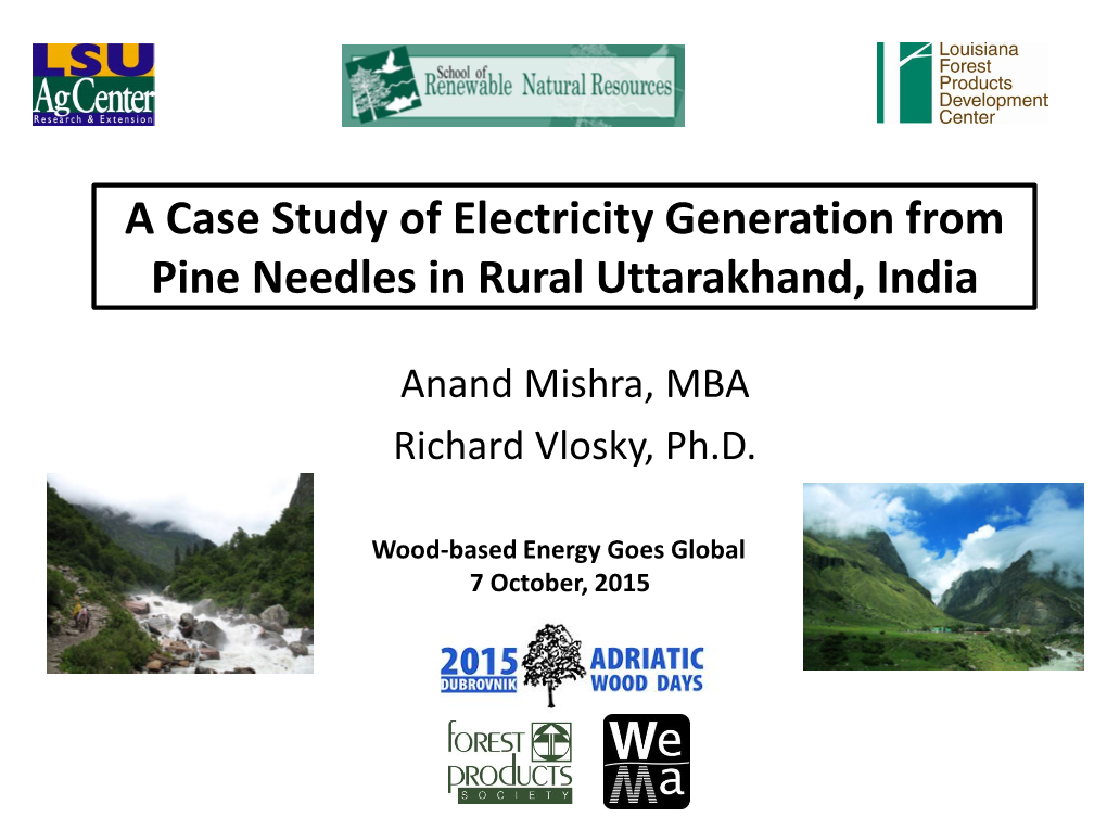 A Case Study of Electricity Generation from Pine Needles in Rural Uttarakhand, India