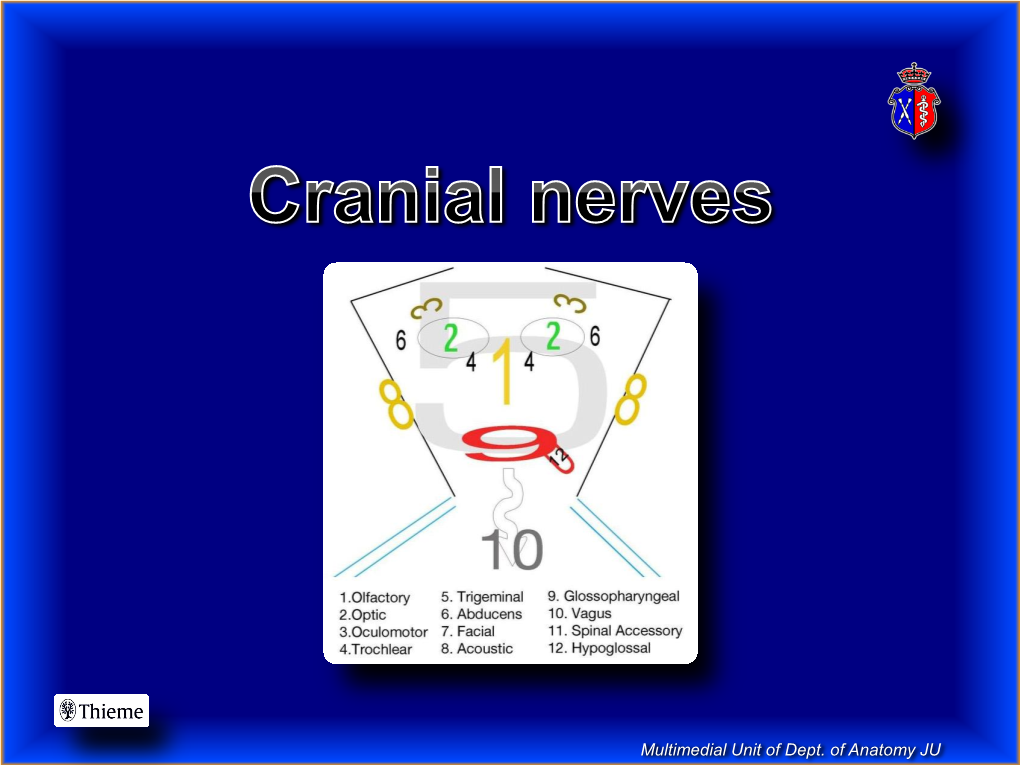 Cranial Nerves