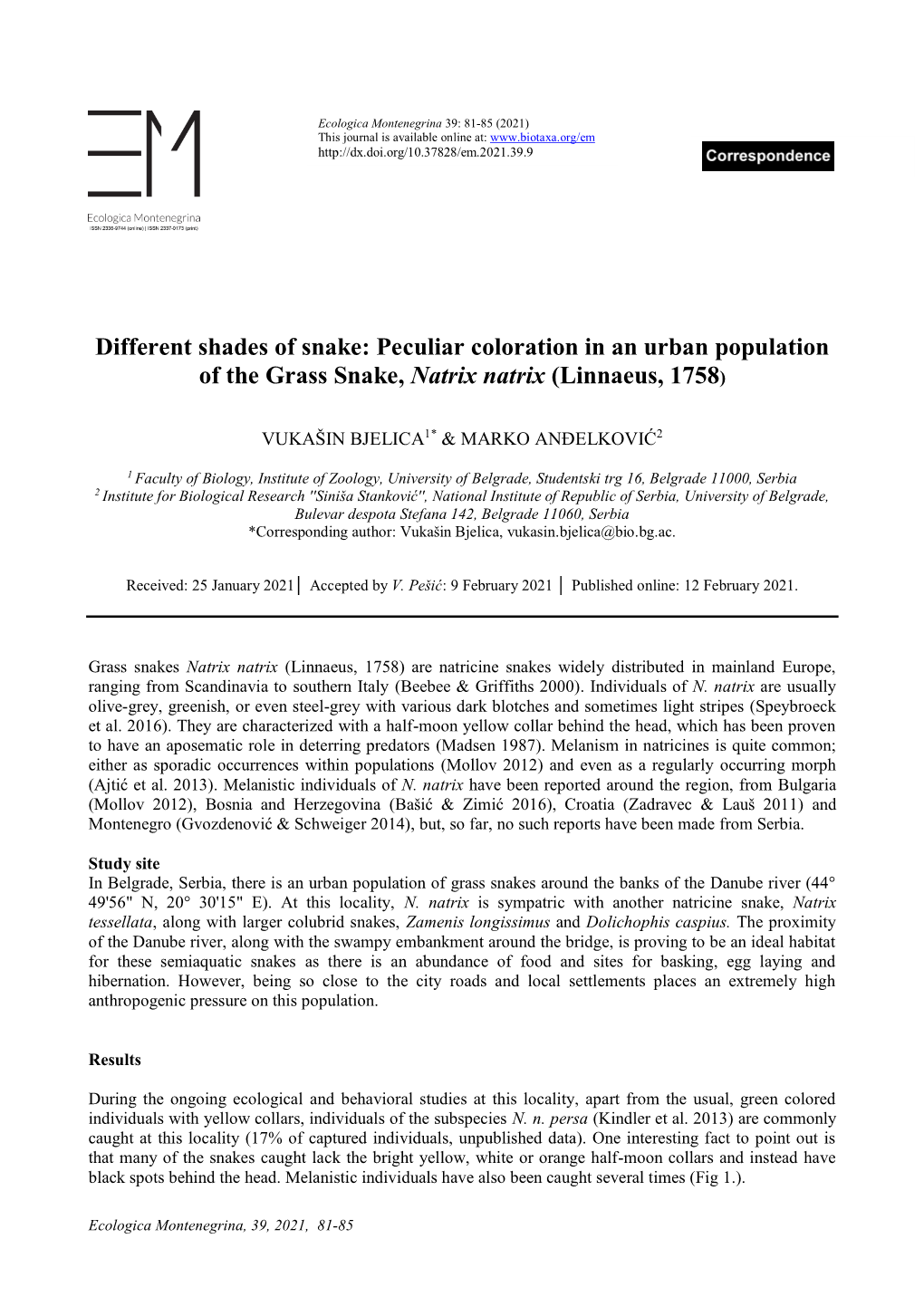 Peculiar Coloration in an Urban Population of the Grass Snake, Natrix Natrix (Linnaeus, 1758)