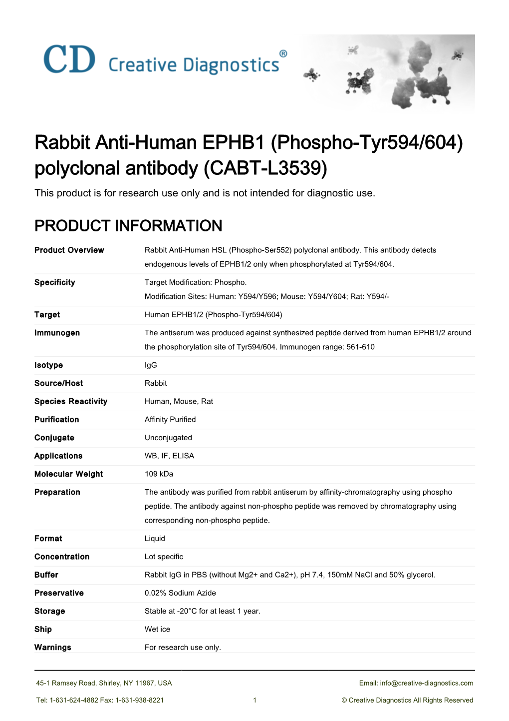 Rabbit Anti-Human EPHB1 (Phospho-Tyr594/604) Polyclonal Antibody (CABT-L3539) This Product Is for Research Use Only and Is Not Intended for Diagnostic Use