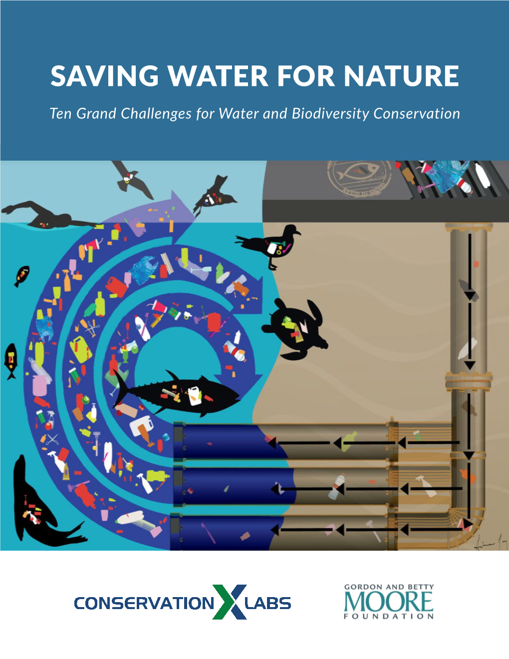 SAVING WATER for NATURE Ten Grand Challenges for Water and Biodiversity Conservation TABLE of CONTENTS