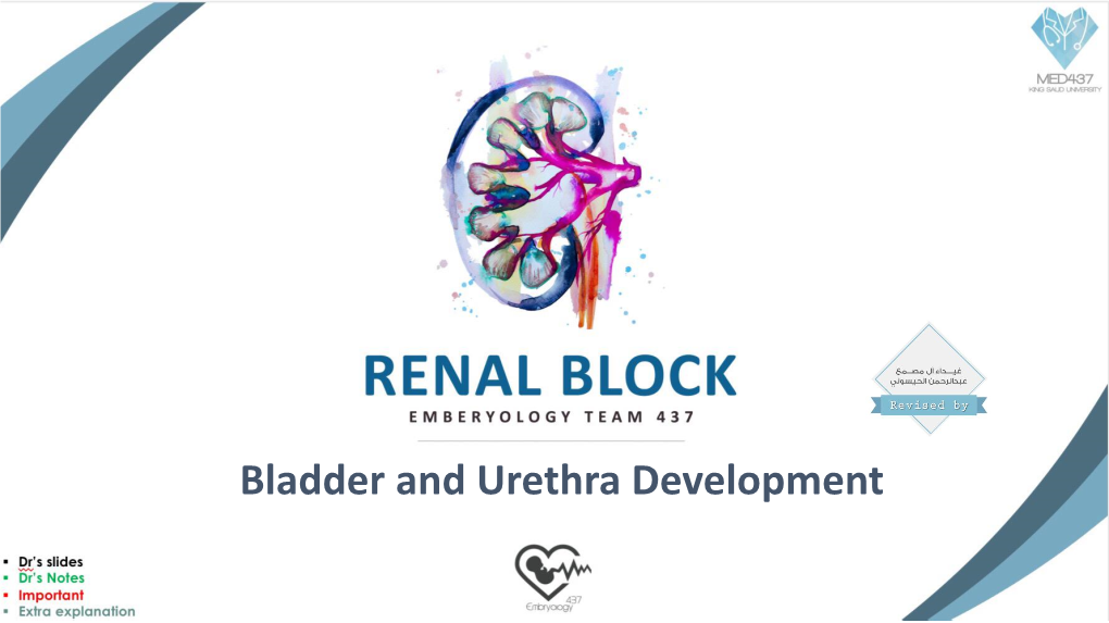 Bladder and Urethra Development Objectives