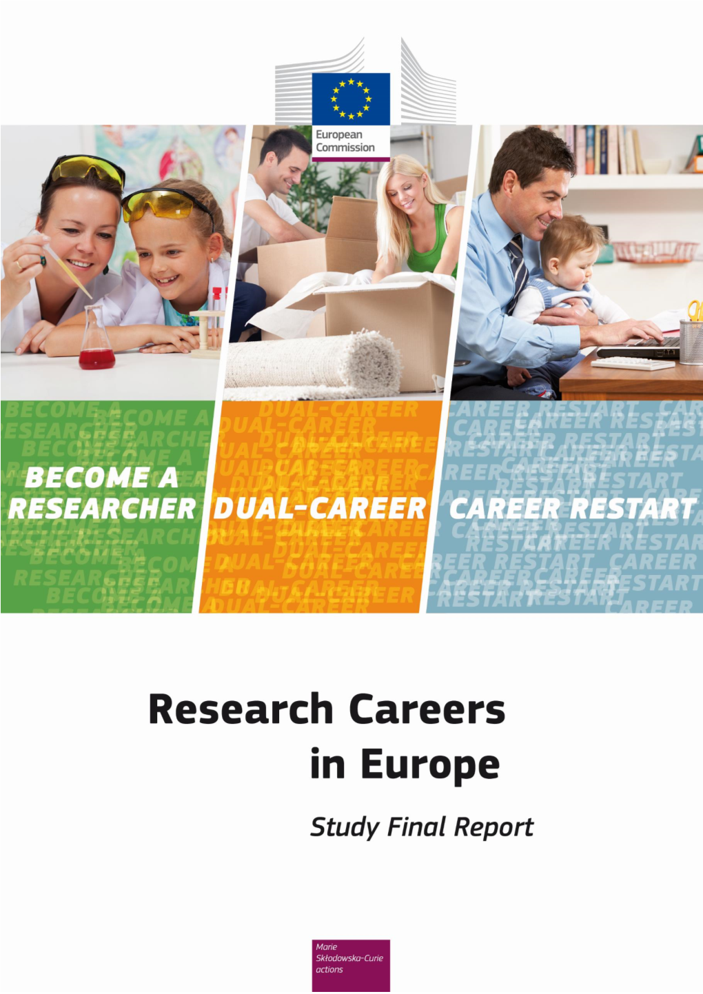 Research Careers in Europe Final Report