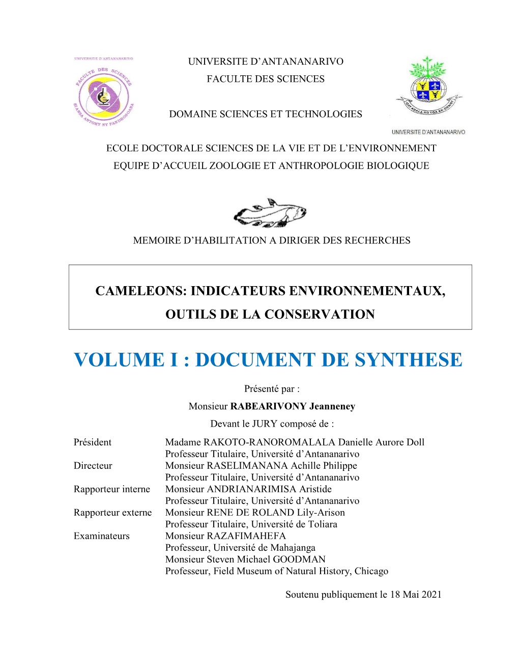 Volume I : Document De Synthese