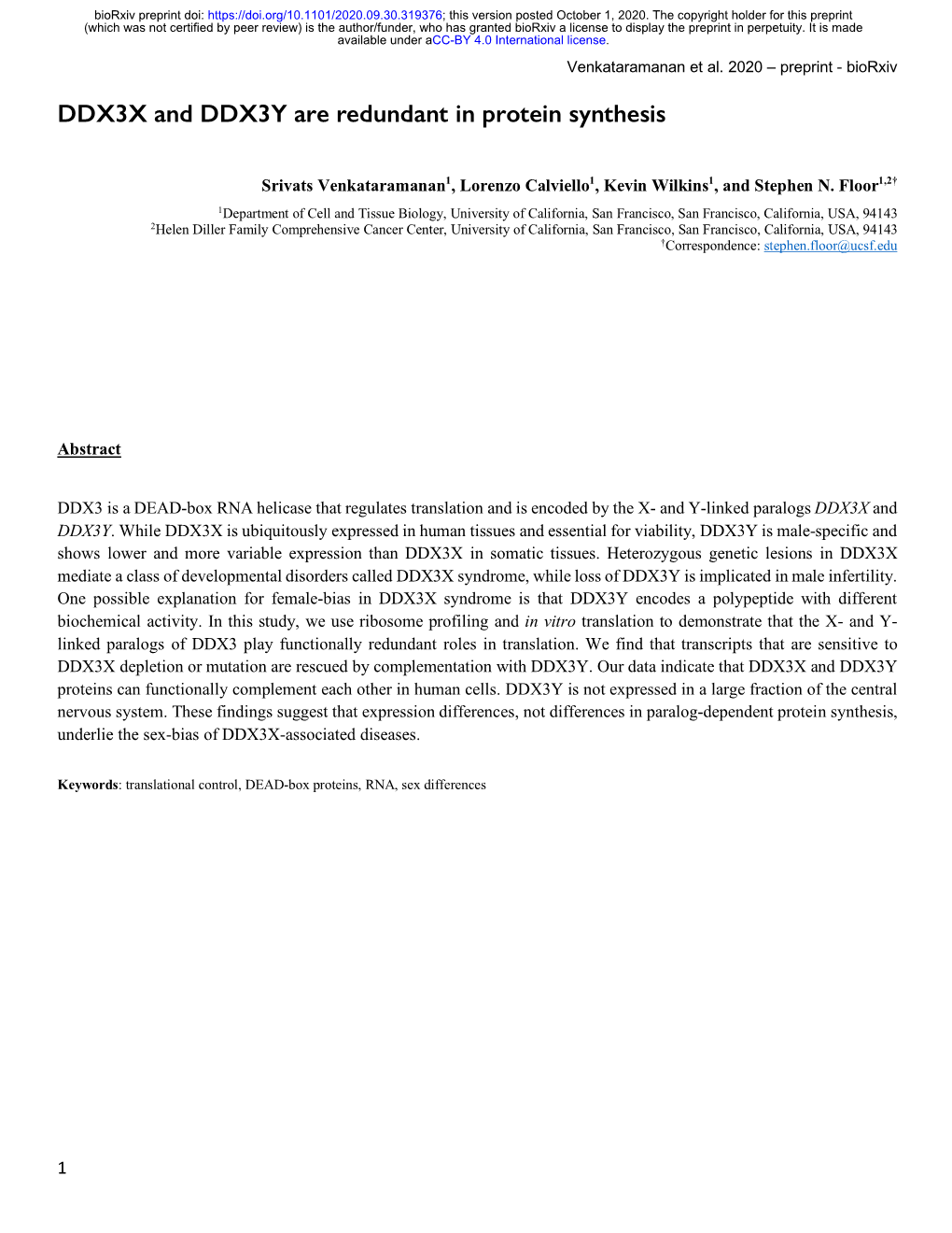 DDX3X and DDX3Y Are Redundant in Protein Synthesis