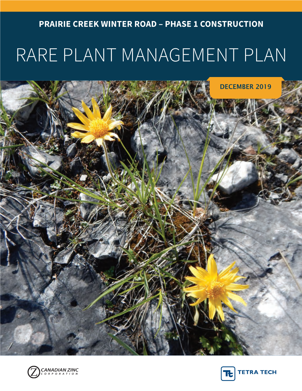Rare Plant Management Plan