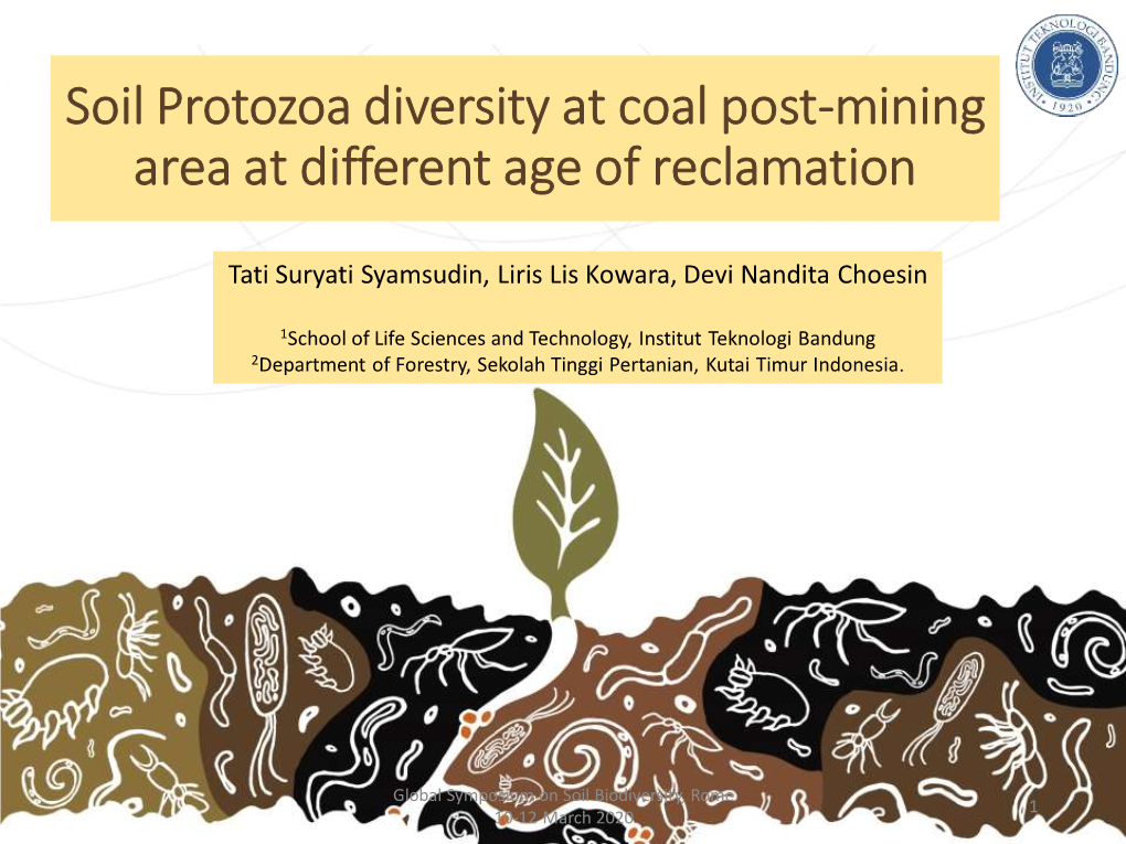 Soil Protozoa Diversity at Coal Post-Mining Area at Different Age of Reclamation