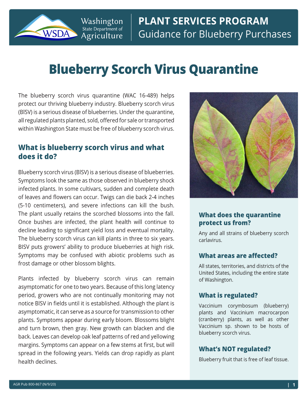 Blueberry Scorch Virus Quarantine