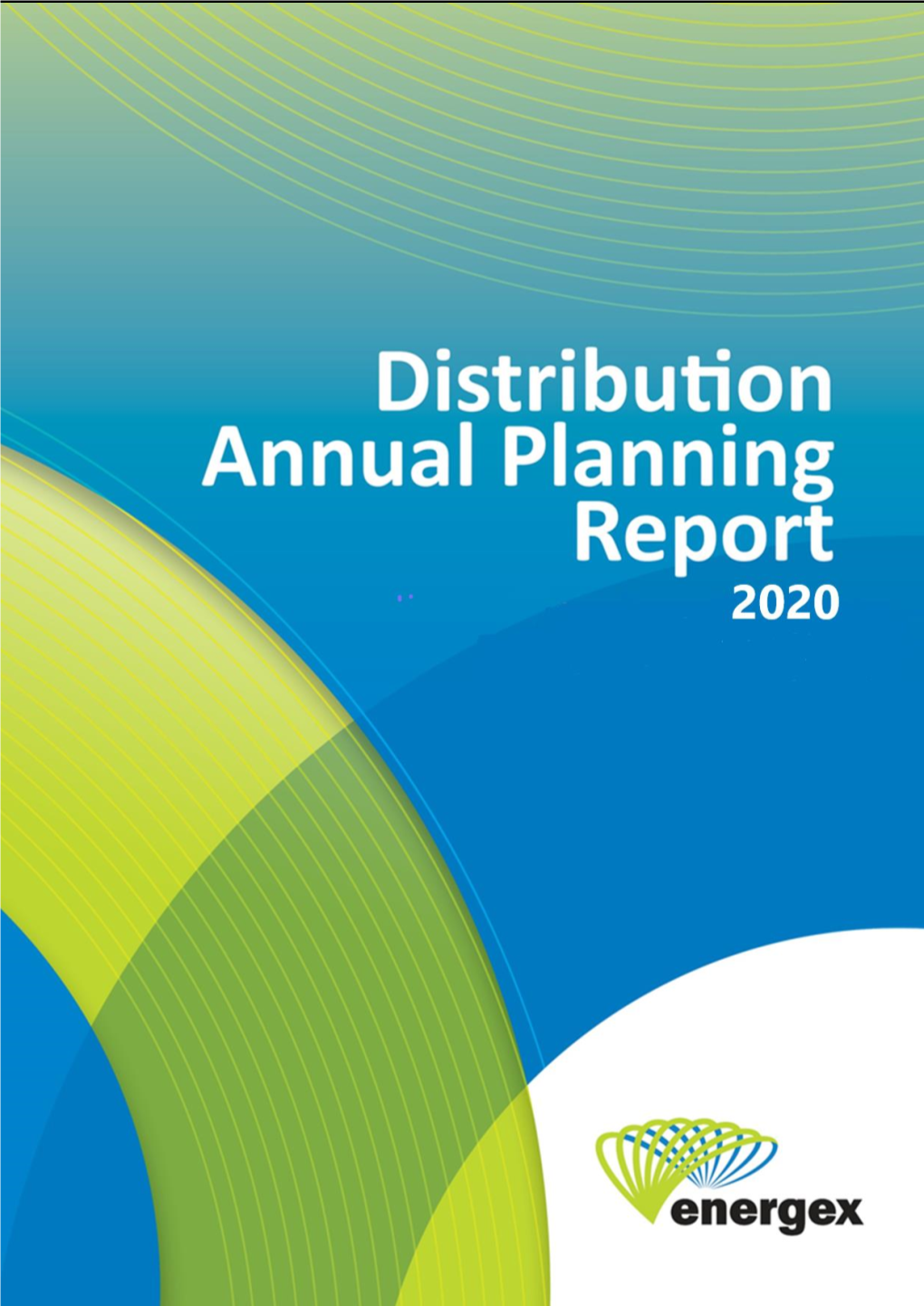 Distribution Annual Planning Report 2020