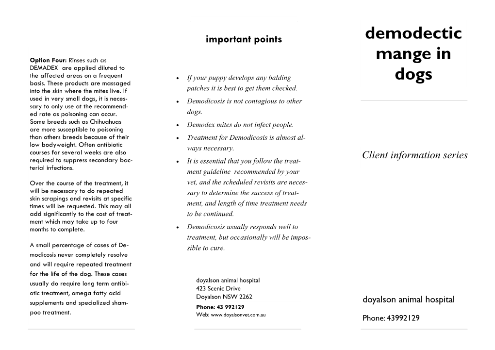 Demodectic Mange in Dogs