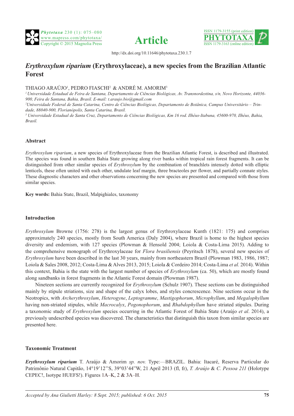 Erythroxylum Riparium (Erythroxylaceae), a New Species from the Brazilian Atlantic Forest