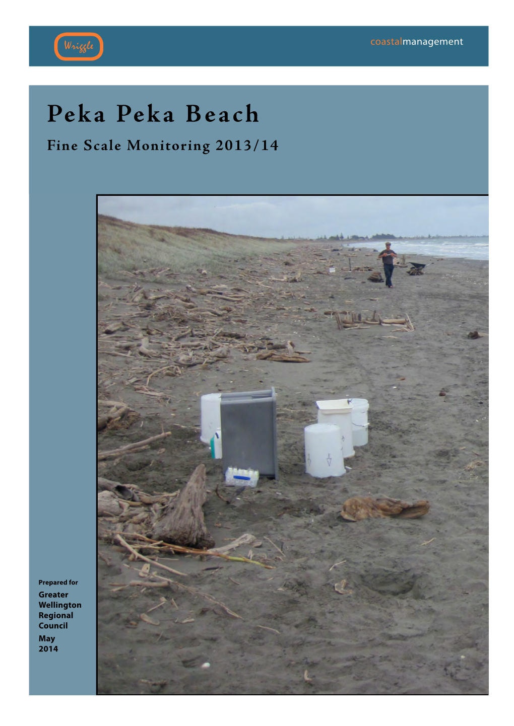 Peka Peka Beach Fine Scale Monitoring 2013/14