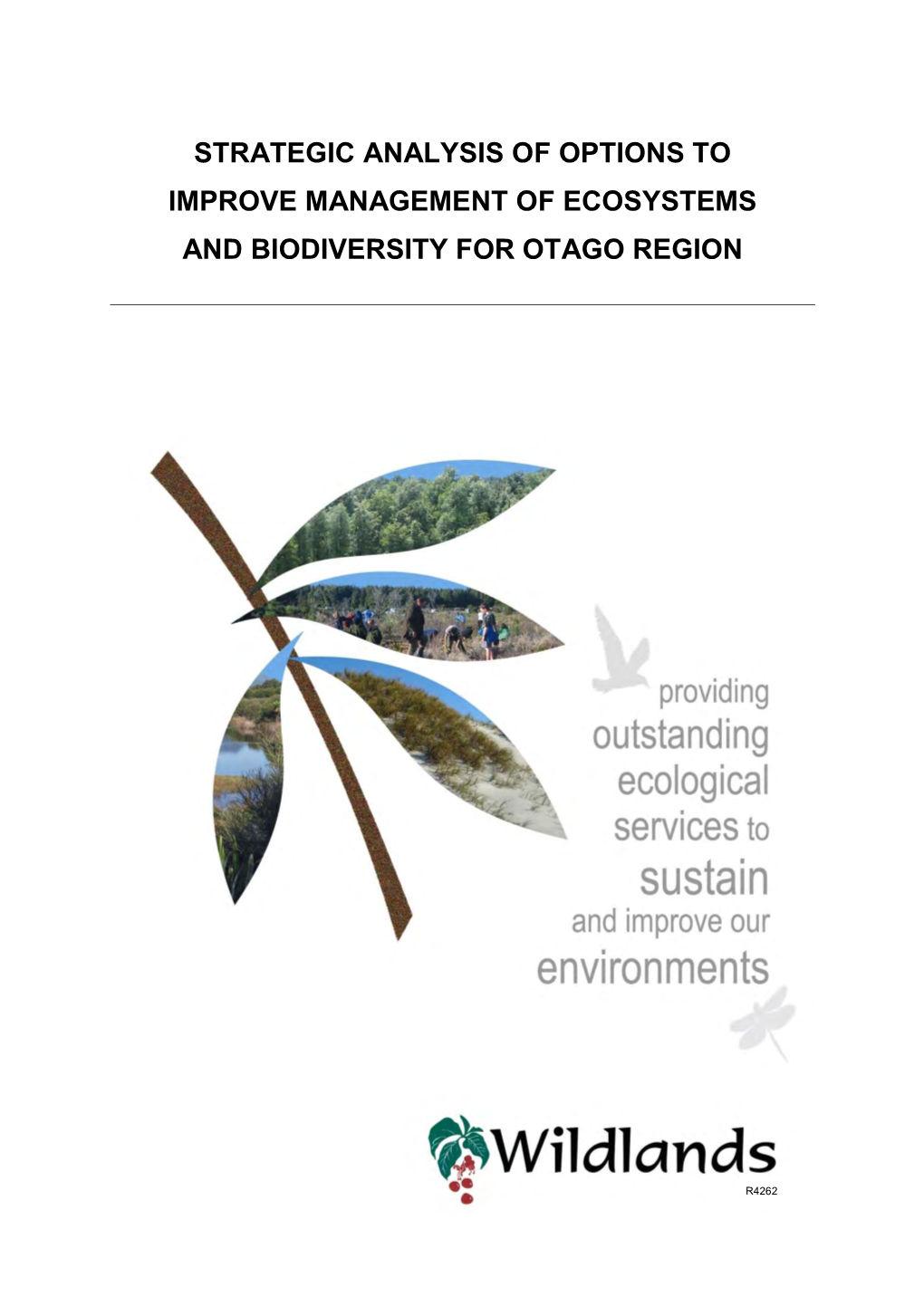Strategic Analysis of Options to Improve Management of Ecosystems and Biodiversity for Otago Region