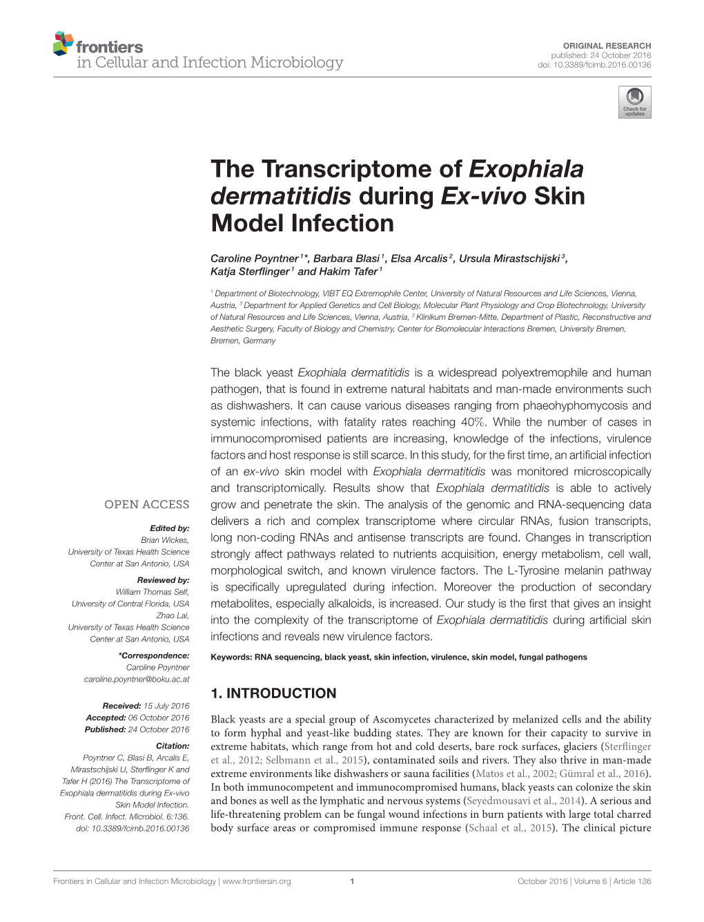 The Transcriptome of Exophiala Dermatitidis During Ex-Vivo Skin Model Infection